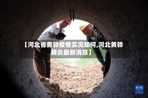 【河北省黄骅疫情实况如何,河北黄骅肺炎最新消息】-第2张图片