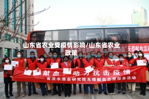 山东省农业受疫情影响/山东省农业政策-第1张图片
