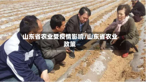 山东省农业受疫情影响/山东省农业政策-第2张图片