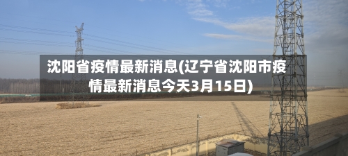 沈阳省疫情最新消息(辽宁省沈阳市疫情最新消息今天3月15日)-第1张图片