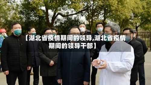 【湖北省疫情期间的领导,湖北省疫情期间的领导干部】-第2张图片