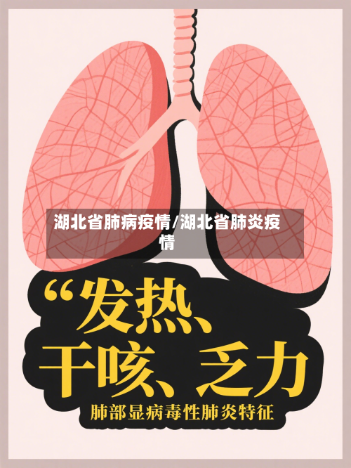 湖北省肺病疫情/湖北省肺炎疫情-第2张图片
