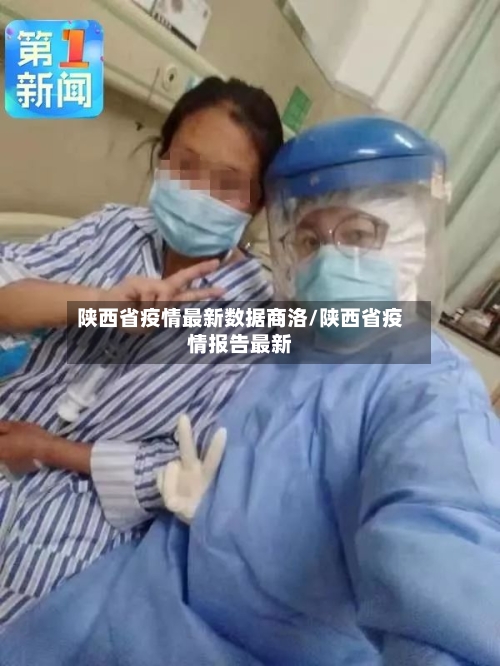 陕西省疫情最新数据商洛/陕西省疫情报告最新-第1张图片