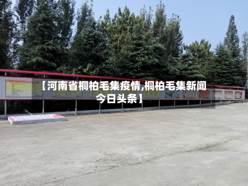 【河南省桐柏毛集疫情,桐柏毛集新闻今日头条】-第2张图片