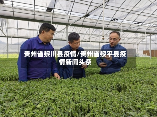 贵州省黎川县疫情/贵州省黎平县疫情新闻头条-第2张图片