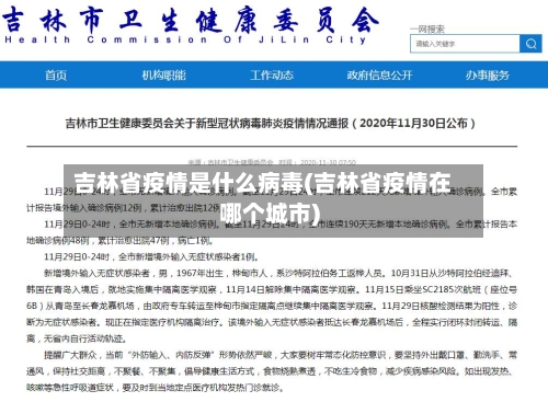 吉林省疫情是什么病毒(吉林省疫情在哪个城市)-第2张图片