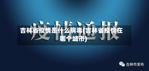 吉林省疫情是什么病毒(吉林省疫情在哪个城市)-第3张图片