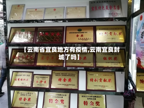 【云南省宜良地方有疫情,云南宜良封城了吗】-第1张图片