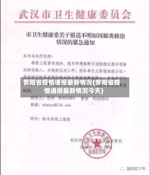 贵阳省疫情通报最新情况(贵阳省疫情通报最新情况今天)-第2张图片