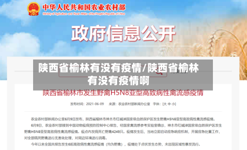 陕西省榆林有没有疫情/陕西省榆林有没有疫情啊-第1张图片