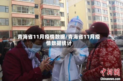 青海省11月疫情数据/青海省11月疫情数据统计-第3张图片