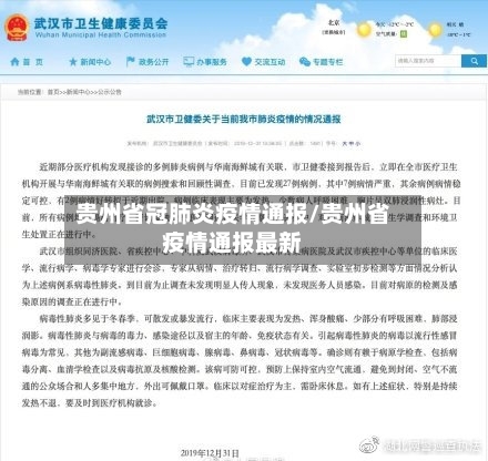 贵州省冠肺炎疫情通报/贵州省疫情通报最新-第3张图片