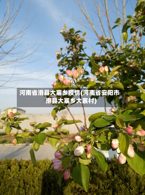 河南省滑县大寨乡疫情(河南省安阳市滑县大寨乡大寨村)-第1张图片