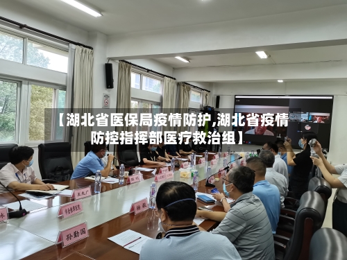 【湖北省医保局疫情防护,湖北省疫情防控指挥部医疗救治组】-第1张图片