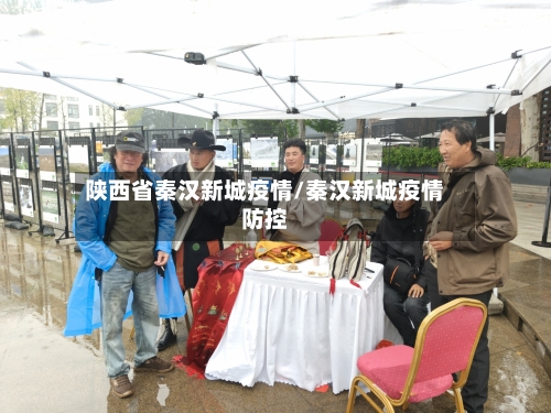 陕西省秦汉新城疫情/秦汉新城疫情防控-第1张图片