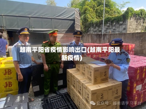 越南平阳省疫情影响出口(越南平阳最新疫情)-第1张图片