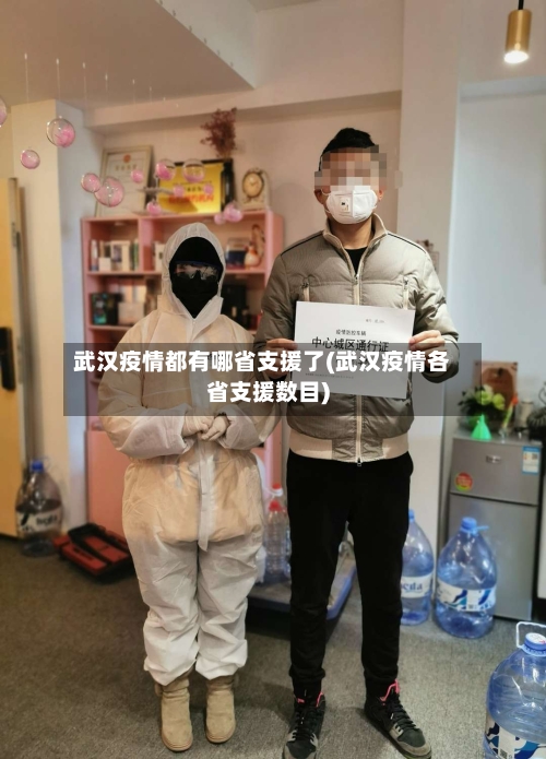 武汉疫情都有哪省支援了(武汉疫情各省支援数目)-第2张图片