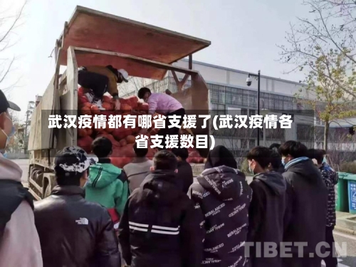 武汉疫情都有哪省支援了(武汉疫情各省支援数目)-第1张图片