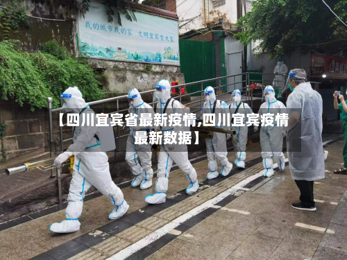 【四川宜宾省最新疫情,四川宜宾疫情最新数据】-第2张图片