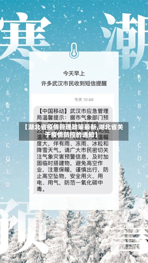 【湖北省疫情管理政策最新,湖北省关于疫情防控的通知】-第3张图片