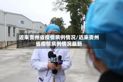 近来贵州省疫情病例情况/近来贵州省疫情病例情况最新-第2张图片
