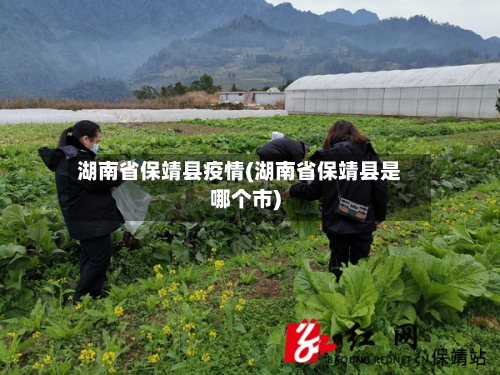 湖南省保靖县疫情(湖南省保靖县是哪个市)-第2张图片