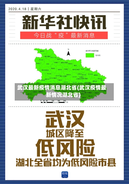 武汉最新疫情消息湖北省(武汉疫情最新情况湖北省)-第1张图片