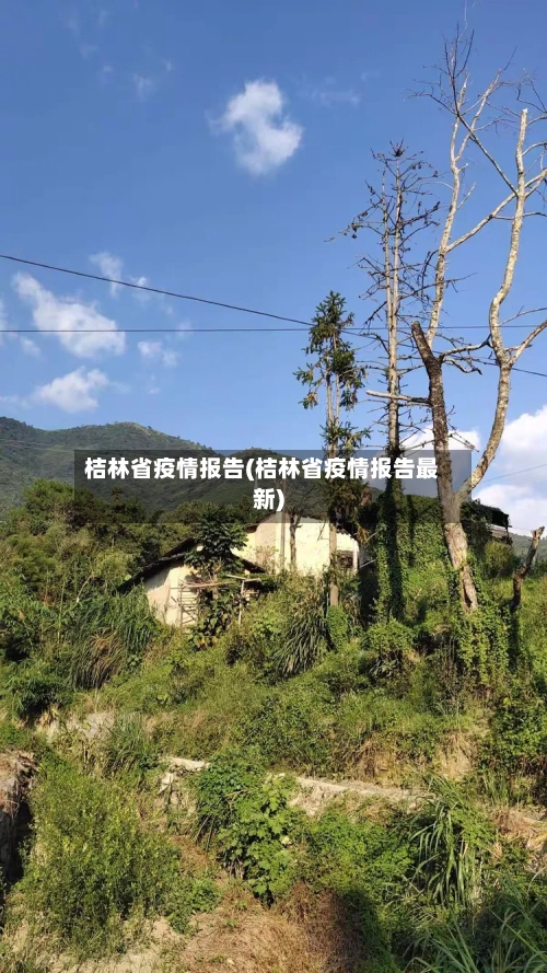 桔林省疫情报告(桔林省疫情报告最新)-第3张图片