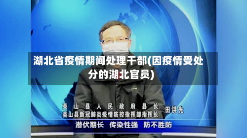 湖北省疫情期间处理干部(因疫情受处分的湖北官员)-第2张图片