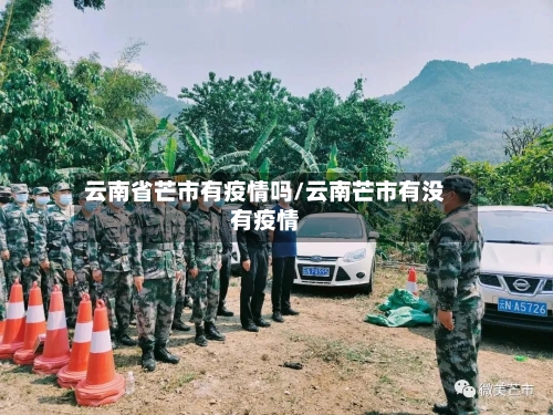 云南省芒市有疫情吗/云南芒市有没有疫情-第2张图片