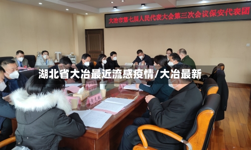 湖北省大冶最近流感疫情/大冶最新-第3张图片
