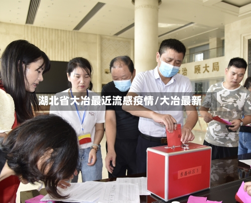 湖北省大冶最近流感疫情/大冶最新-第2张图片