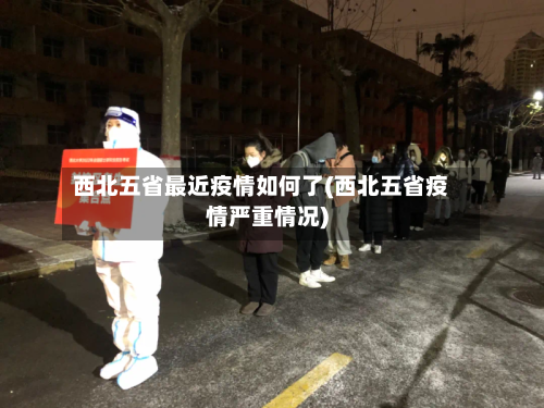 西北五省最近疫情如何了(西北五省疫情严重情况)-第2张图片