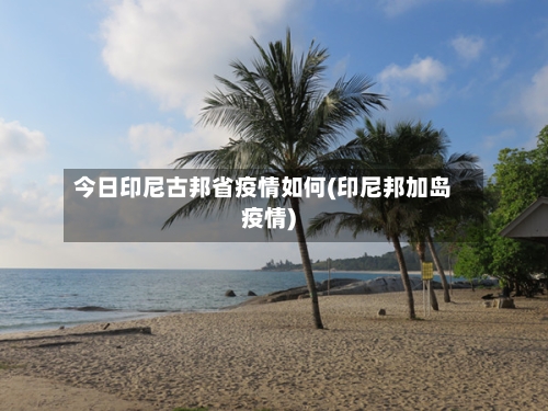 今日印尼古邦省疫情如何(印尼邦加岛疫情)-第2张图片