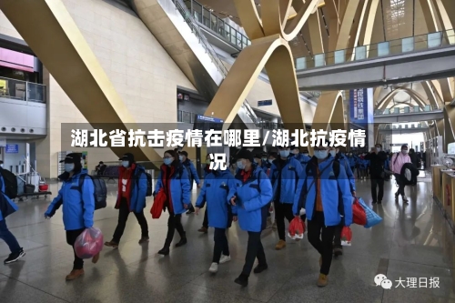 湖北省抗击疫情在哪里/湖北抗疫情况-第1张图片