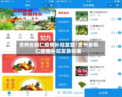 贵州省铜仁疫情补贴发放/贵州省铜仁疫情补贴发放标准-第1张图片