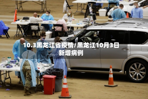 10.3黑龙江省疫情/黑龙江10月3日新增病例-第1张图片