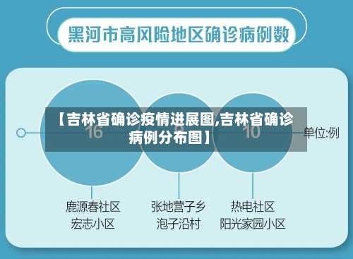 【吉林省确诊疫情进展图,吉林省确诊病例分布图】-第2张图片