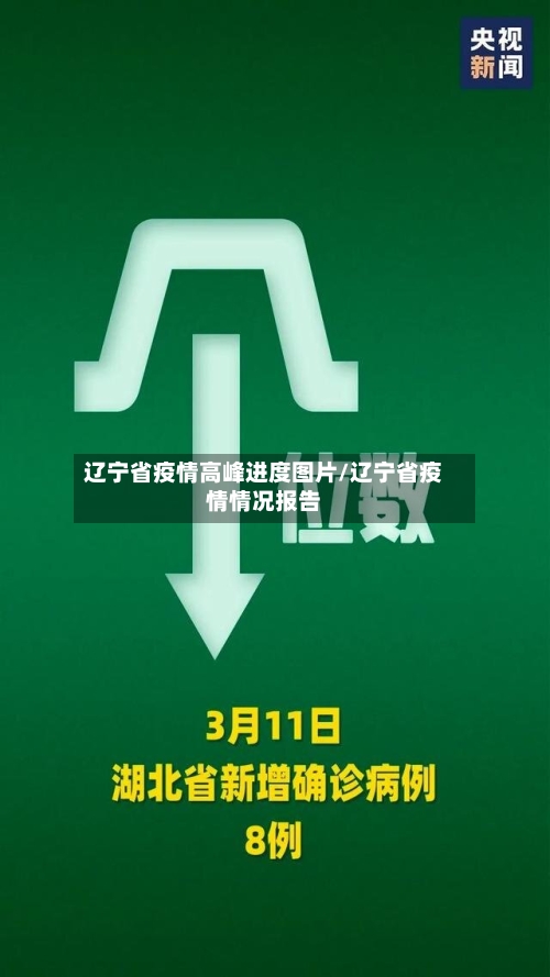 辽宁省疫情高峰进度图片/辽宁省疫情情况报告-第1张图片