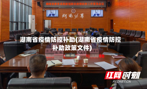 湖南省疫情防控补助(湖南省疫情防控补助政策文件)-第2张图片
