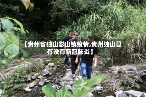 【贵州省独山影山镇疫情,贵州独山县有没有新冠肺炎】-第3张图片