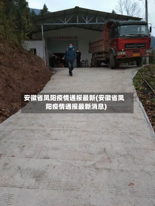 安徽省凤阳疫情通报最新(安徽省凤阳疫情通报最新消息)-第1张图片