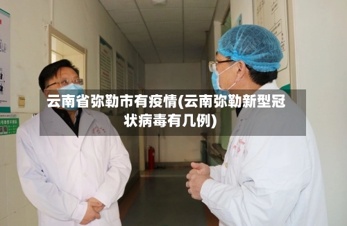 云南省弥勒市有疫情(云南弥勒新型冠状病毒有几例)-第1张图片