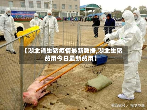 【湖北省生猪疫情最新数据,湖北生猪费用今日最新费用】-第2张图片
