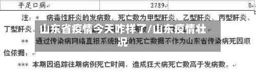 山东省疫情今天咋样了/山东疫情壮况-第1张图片