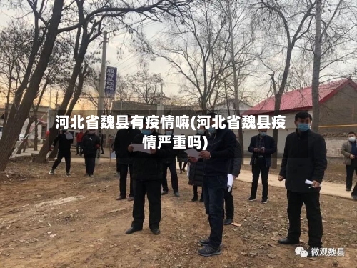 河北省魏县有疫情嘛(河北省魏县疫情严重吗)-第2张图片