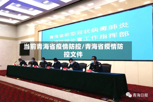 当前青海省疫情防控/青海省疫情防控文件-第3张图片