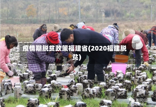疫情期脱贫政策福建省(2020福建脱贫)-第1张图片