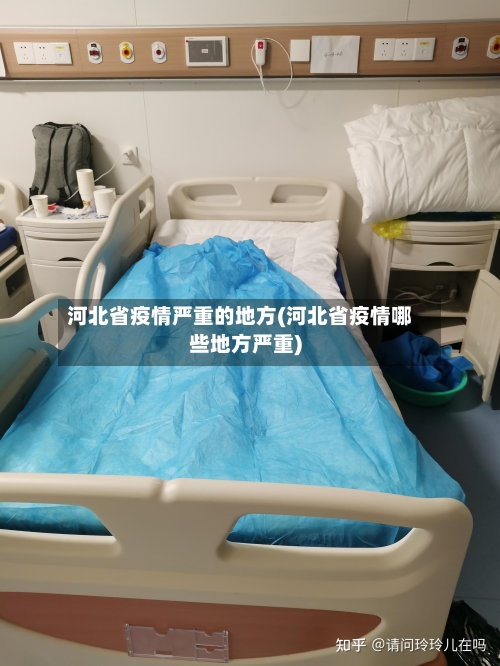 河北省疫情严重的地方(河北省疫情哪些地方严重)-第3张图片
