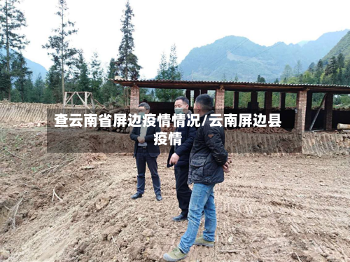 查云南省屏边疫情情况/云南屏边县疫情-第3张图片